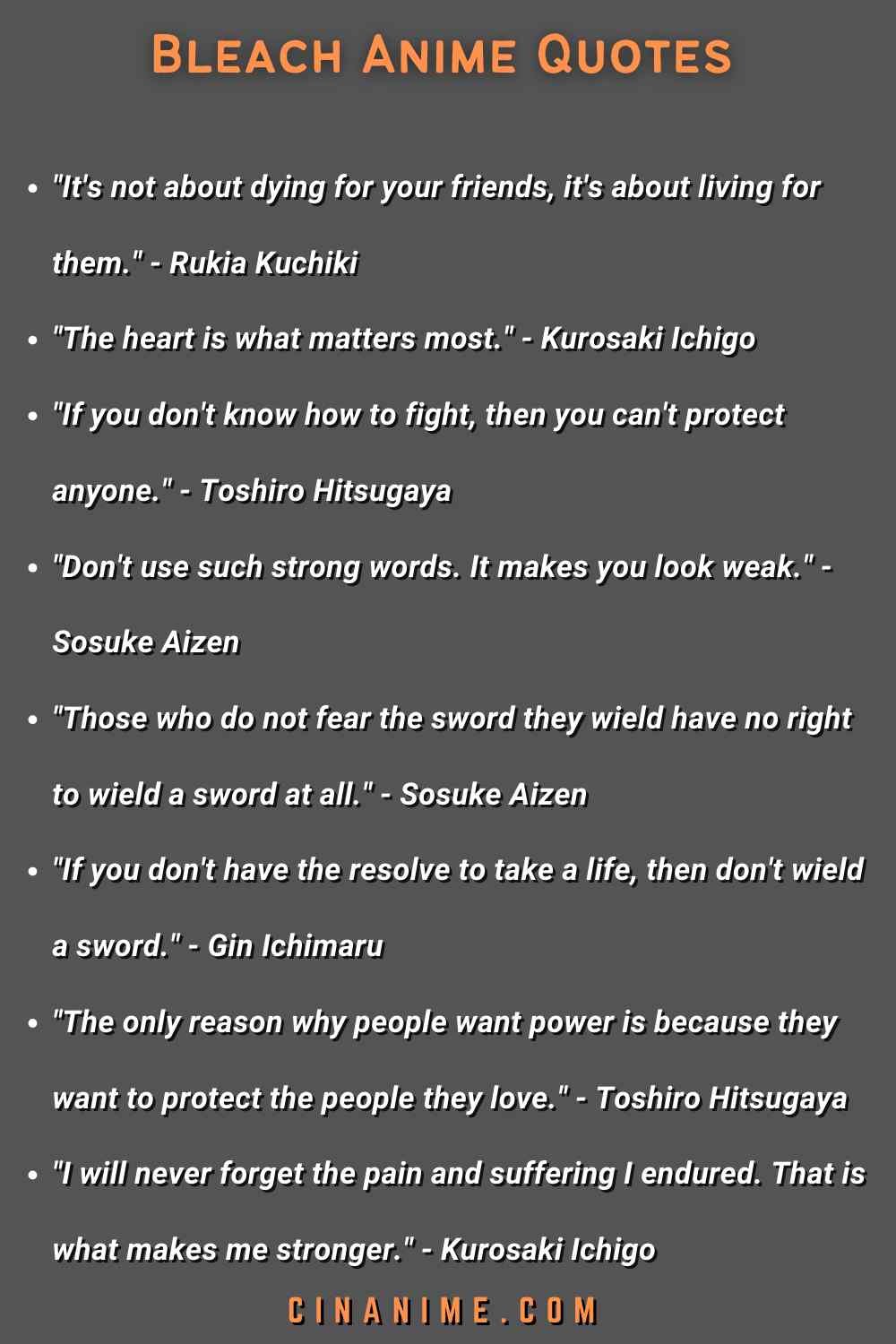 Bleach Anime Quotes