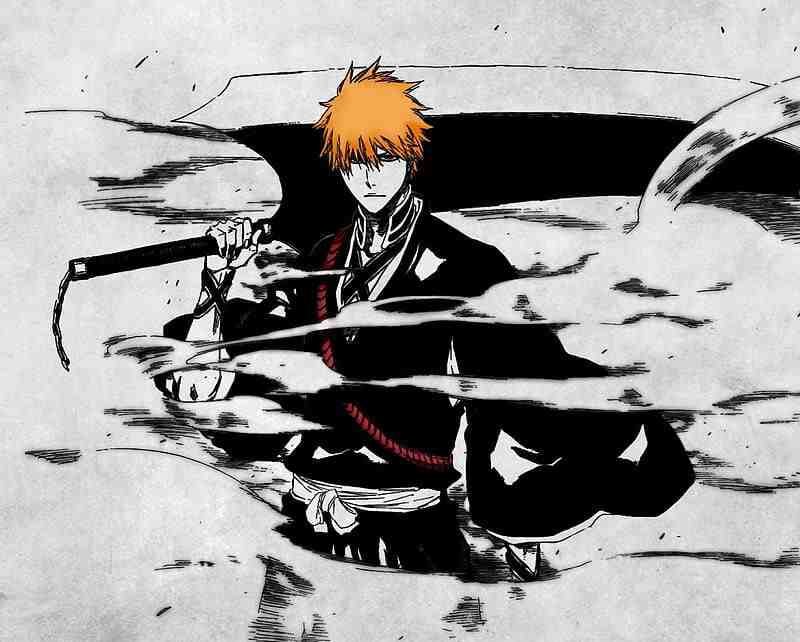 Bleach Soul Society Arc Ichigo